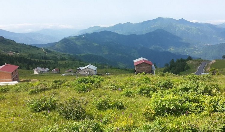 Γνωρίστε το παρχάρι Καζάνκιραν, ένα από τα πιο ονομαστά των Σουρμένων