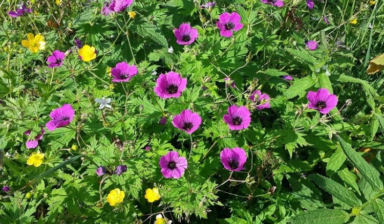 Βόλτα στα παρχάρια των Σουρμένων με επτά φωτογραφίες και ένα τραγούδι