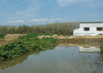 Παρατείνεται ο χρόνος καταβολής της ασφαλιστικής εισφοράς των αγροτών