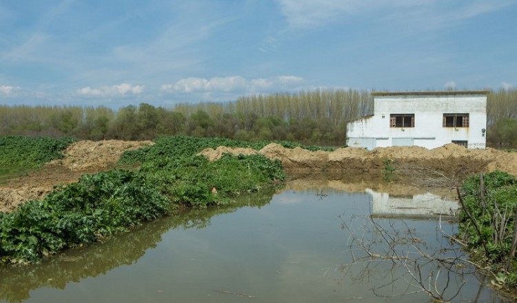 Παρατείνεται ο χρόνος καταβολής της ασφαλιστικής εισφοράς των αγροτών