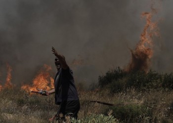 Πυρκαγιές σε Καρέα και Λακωνία