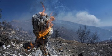 Φωτιά στη Βαρδαλή Φθιώτιδας 2