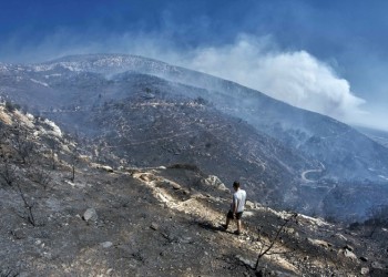 Φωτιά στη Βαρδαλή Φθιώτιδας 6