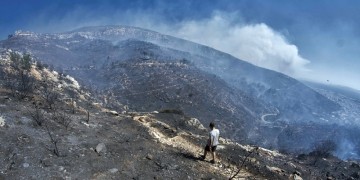 Φωτιά στη Βαρδαλή Φθιώτιδας 6