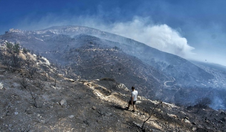 Φωτιά στη Βαρδαλή Φθιώτιδας 6