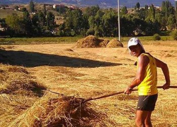 Ο Τεμόν ΑΕΚ έτρεξε για τον Γιάννη-Βασίλη Γιαϊλαλί και για τα θύματα της Γενοκτονίας