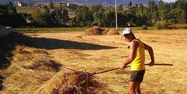 Ο Τεμόν ΑΕΚ έτρεξε για τον Γιάννη-Βασίλη Γιαϊλαλί και για τα θύματα της Γενοκτονίας