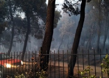 Υπό μερικό έλεγχο η πυρκαγιά στη Μικροκώμη του Δήμου Βόλβης 6