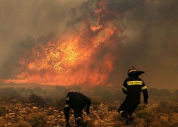 Υπό έλεγχο η φωτιά που ξέσπασε στη νότια Κεφαλονιά
