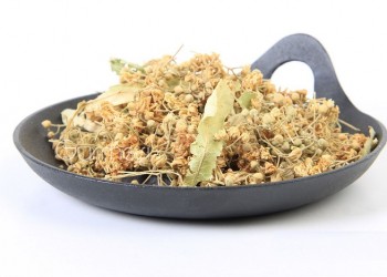 Συλλογή φλαμουριού στην Αμισό του Πόντου (φωτο)