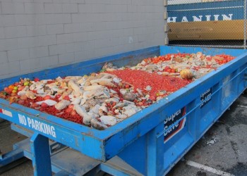 Στα σκουπίδια πετούν οι Ευρωπαίοι 47 εκατ. τόνους τροφίμων το χρόνο