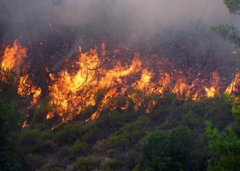Υπό μερικό έλεγχο η πυρκαγιά στη Μικροκώμη του Δήμου Βόλβης 7