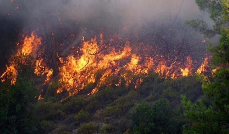 Υπό μερικό έλεγχο η πυρκαγιά στη Μικροκώμη του Δήμου Βόλβης 7