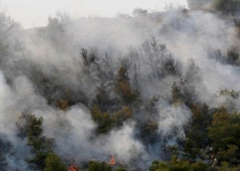 Υψηλός κίνδυνος πυρκαγιάς σε Αττική και Στερεά Ελλάδα
