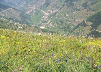 Ο Πόντος ζει… Πανηγύρι στο παρχάρι Λιμνί της Όκενας (βίντεο)