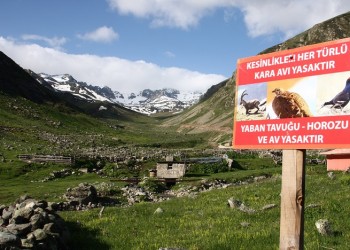 Ο ορεινός πετεινός τουριστική ατραξιόν στις Ποντικές Άλπεις (φωτο)