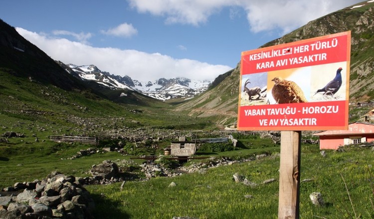 Ο ορεινός πετεινός τουριστική ατραξιόν στις Ποντικές Άλπεις (φωτο)