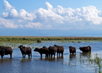 Το δέλτα του ποταμού Άλυ στον Πόντο σύντομα Παγκόσμια Κληρονομιά από την UNESCO