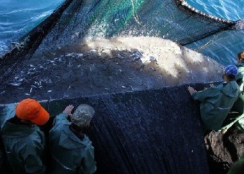 Βίρα τις άγκυρες και έγια μόλα σε Σινώπη, Αμισό, Κοτύωρα, Κερασούντα και Τραπεζούντα