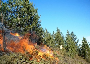 Καίει ακόμα η φωτιά στην Κόρινθο (φωτο)