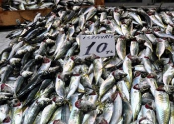 Σταυρίτε μήνα, αφθονία ισταυρίτ’ στον Πόντο