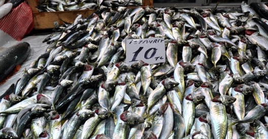 Σταυρίτε μήνα, αφθονία ισταυρίτ’ στον Πόντο