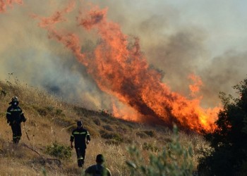 Πυρκαγιά στο Αγρίδι Ηλείας 2