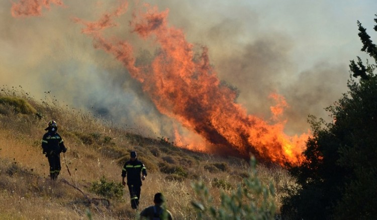 Πυρκαγιά στο Αγρίδι Ηλείας 2