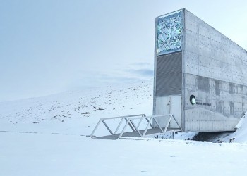 Το Παγκόσμιο Θησαυροφυλάκιο Σπόρων προσφέρει δείγματα για τη Συρία
