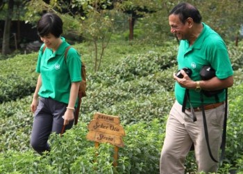 Το φημισμένο τσάι από το Ριζαίο πρωταγωνιστής σε διεθνή διαγωνισμό (φωτο-βίντεο)