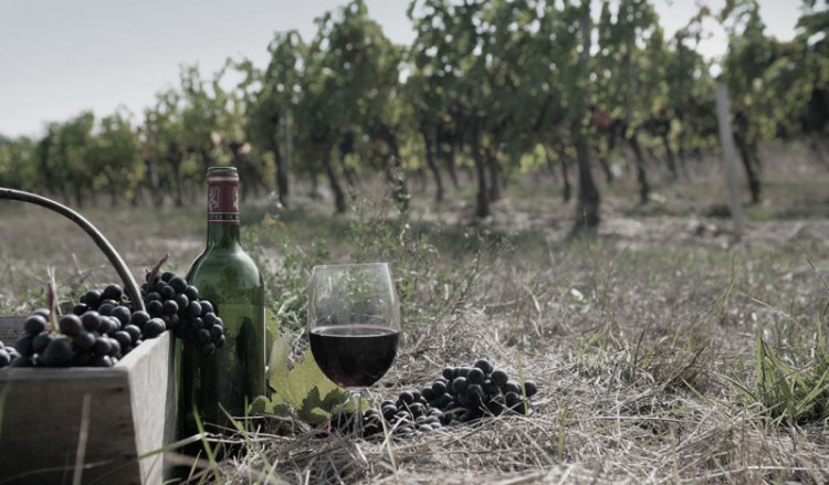 Τρυγομηνάς, χειμός καιρός και χιόνια σα ραχία – Οι προετοιμασίες του χειμώνα στον Πόντο τον Οκτώβριο