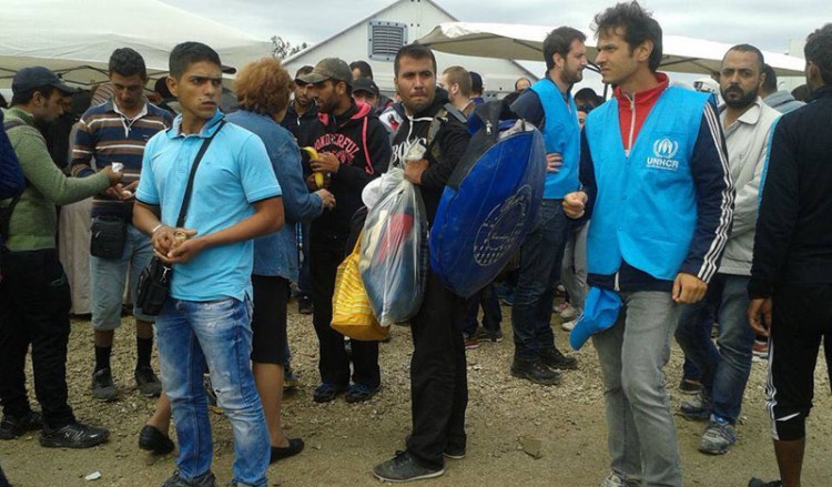 В Греции обеспокоены резким возрастанием потока турецких беженцев в страну