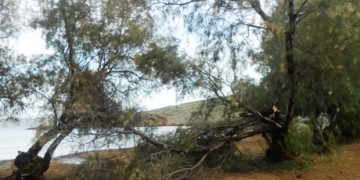 Ανεμοστρόβιλος χτύπησε και το Λαύριο – Μεγάλες καταστροφές (φωτο-βίντεο) - Media Gallery