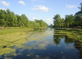 Μπλόκο σε αμφιλεγόμενο εργοστάσιο ηλεκτρισμού στη Σαμψούντα
