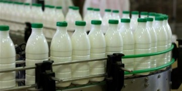 Τι αλλάζει με το γάλα και τι περιμένει κτηνοτρόφους, καταναλωτές