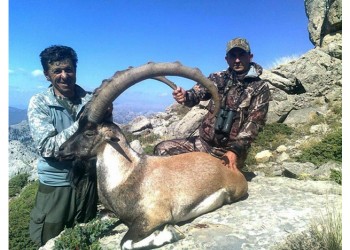 Τ’ αγραίγιδον τη Άρδασσας