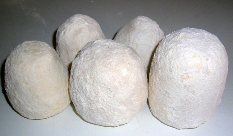 Τα τσιορντάνια στα Σούρμενα του Πόντου (φωτο)