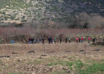 Σοκ στο πανελλήνιο με την άγρια δολοφονία της Ανθής Λινάρδου στην Κοζάνη