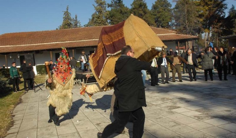 Το έθιμο της καμήλας στο Αιγίνιο (φωτο)