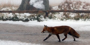 Υποχωρεί ο χιονιάς την Πέμπτη – Πότε θα εξασθενήσουν τα φαινόμενα