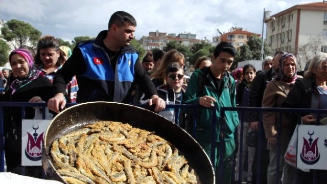 Τέσσερις τόνοι χαψία ένωσαν Τραπεζούντιους και Μανησαλήδες (βίντεο-φωτο) - Media Gallery