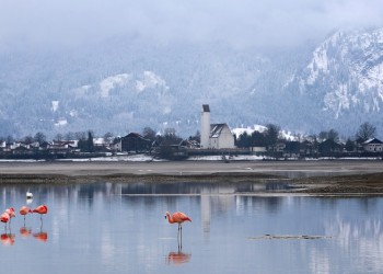 Τοπικές βροχές την Κυριακή, ισχυροί βοριάδες στο Αιγαίο