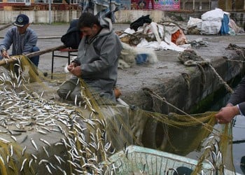 Τουρκία: Υπουργική οδηγία στους αλιείς να μην ψαρεύουν στα ελληνικά χωρικά ύδατα