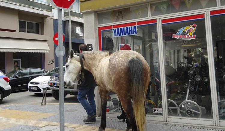 Όταν ένα άλογο κυκλοφορεί ελεύθερο στην πόλη (φωτο)