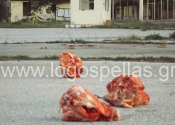 Σοκάρουν οι εικόνες με τις γουρουνοκεφαλές στο στρατόπεδο της Σκύδρας