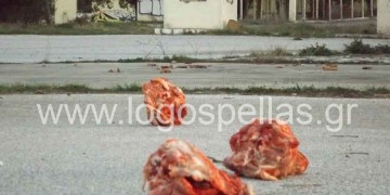 Σοκάρουν οι εικόνες με τις γουρουνοκεφαλές στο στρατόπεδο της Σκύδρας