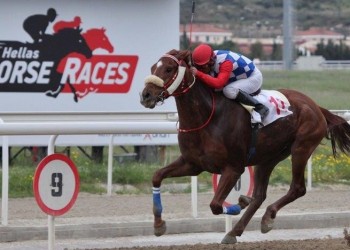 Γιορτή του ιπποδρόμου το Σάββατο στο Μαρκόπουλο
