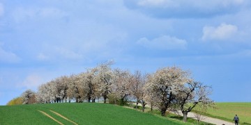 Ο καιρός για σήμερα: Ηλιοφάνεια και άνοδος της θερμοκρασίας