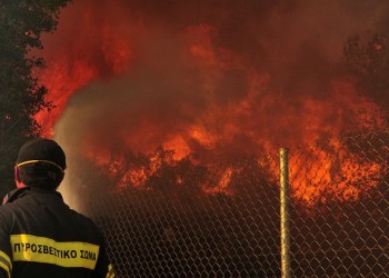 Φωτιά σε περιοχή του Δήμου Βόλβης Θεσσαλονίκης 2