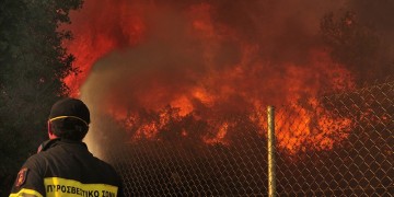 Φωτιά σε περιοχή του Δήμου Βόλβης Θεσσαλονίκης 2